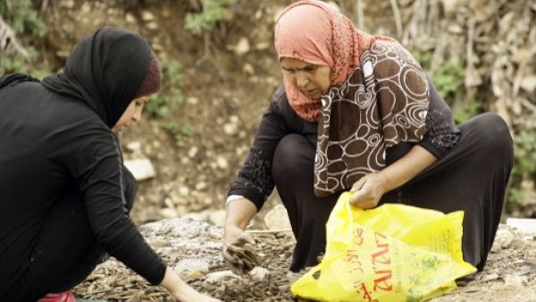 ام سورية وابنتها يجمعون حطبا للتدفئة في صديا جنوب لبنان/أ.ف.ب