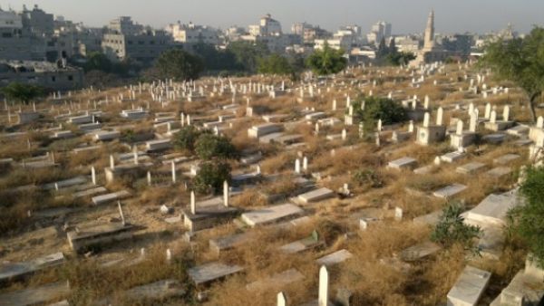 اشتباك داخل المقبرة الاسلاميه في الاردن اشتباك داخل المقبرة الاسلاميه في الاردن
