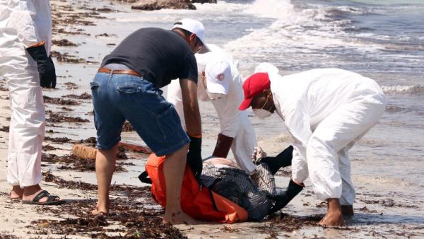 Members of the Libyan Red Crescent, wearing protective white clothing and masks, collect the body of a migrant that had washed ashore on a beach on Aug. 28, 2015 in the port town of Zuwara west of Tripoli. (AFP/Mahmud Turkia)