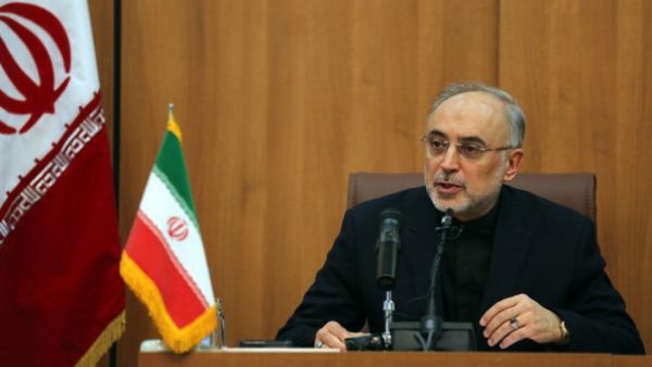 Head of Iran's Atomic Energy Organisation Ali Akbar Salehi [Getty Images]