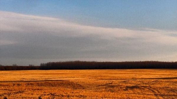 Alberta