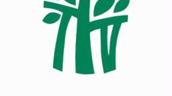 Banyan Tree Hotels and Resorts Banyan Tree Hotels and Resorts
