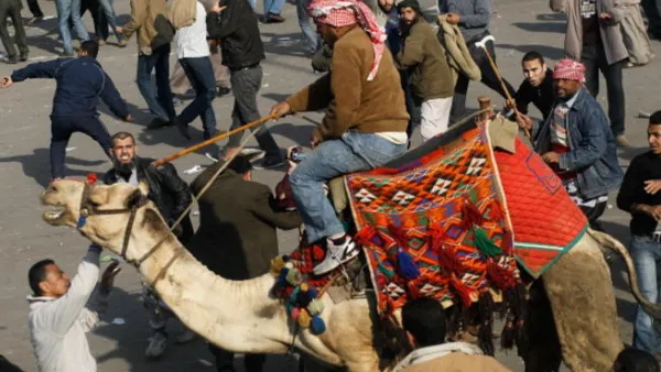 بلطجية النظام 