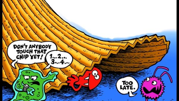 The 5-second rule from the 'bacteria's' point of view- requires patience on their part...