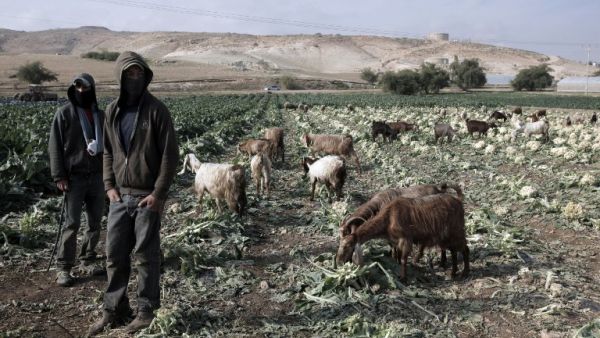 The land in the Jordan Valley is often contested.  (AFP/File)