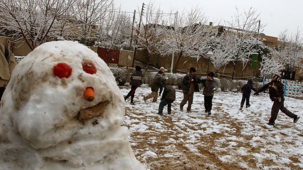 Be careful, snowball fights can turn deadly.