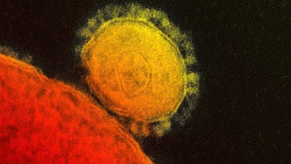 The first case of the MERS virus has been detected in Oman. (File)