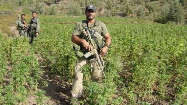 The marijuana fields of Lebanon