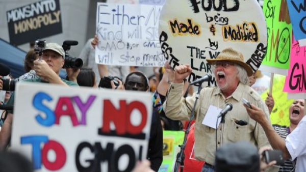 Egyptians gather to denounce Monsanto's genetically modified products and their risks. The photo shows Monsanto protests in the US.