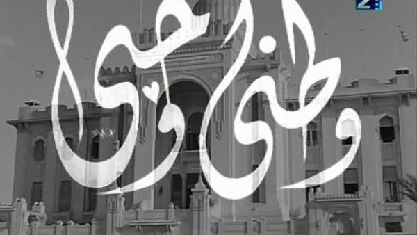 وطني الذي أريد.