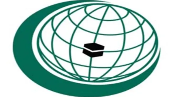 مساعدات انسانية من المنظمة الى غزة 