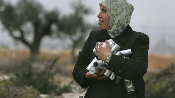 Harsh aftermaths: A Palestinian woman collecting used tear gas cartilages.   