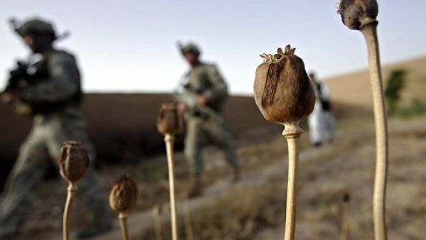 دافعو الضرائب يمولون مسلحي أفغانستان