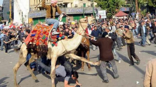 "Camel Battle" during the Egyptian revolution.