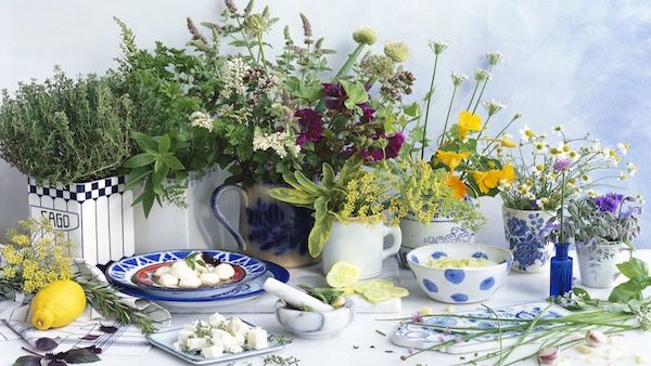 A selection of herbs (Getty images)