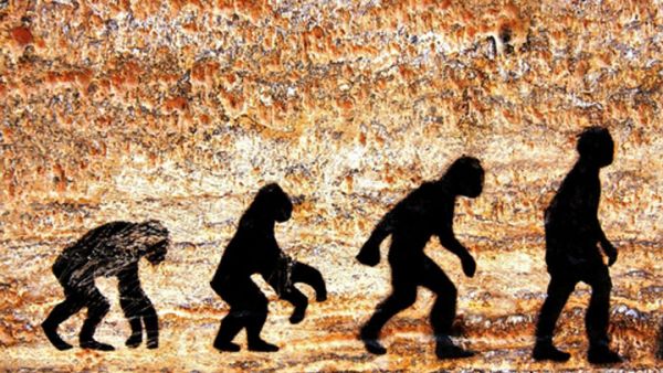 An increasing number of Arabs are believing more in evolution and less in religion. (Image: Shutterstock/Livinglegend)