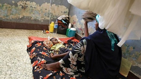 الأمم المتحدة تبدأ نقل مساعدات غذائية للصومال