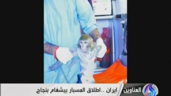 Iran launches a monkey above the Earth's atmosphere in a capsule successfully. (AFP / Al-Alam TV)