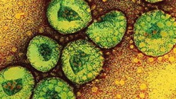 A total of 28 people have been killed from the SARS coronavirus in Saudi Arabia, the health ministry said recently. Meanwhile, countries such as Jordan, France, the United Arab Emirates, Germany as well as Britain and Tunisia have reported infections of the MERS-CoV strain. 