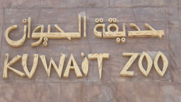Bring your kids to the zoo and let them watch Arab children roam free and create chaos.