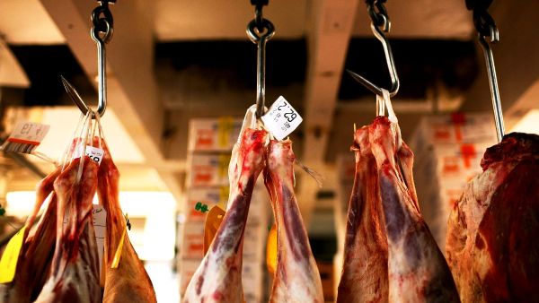 Friends in Kosher and Halal: Jews and Muslims bond over ritualistic lamb slaughter.