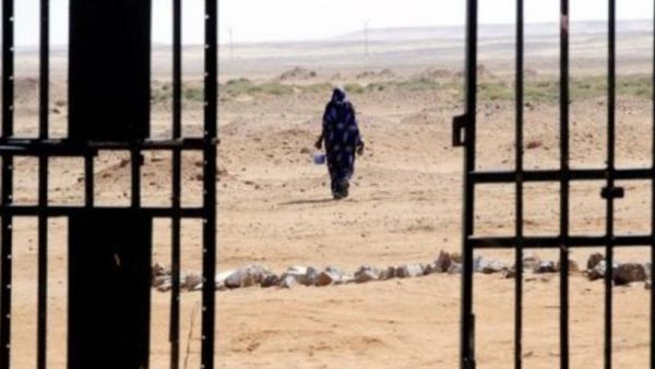 البوليساريو: قرار المغرب سحب ثقته من كريستوفر روس "لا اساس له" 