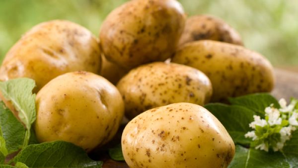 “The ministry has a zero-tolerance policy towards the import and sale of Israeli products and if there are Israeli potatoes in the stores, there will be stringent action against those involved,” the sources said.