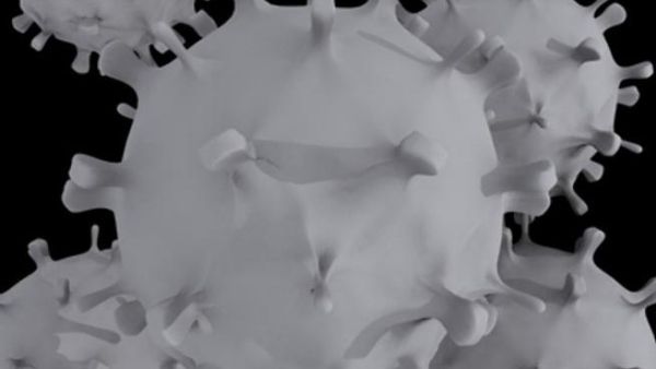 The SARS virus in close-up