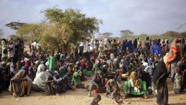 لاجئون صوماليون في مركز تسجيل في دداب