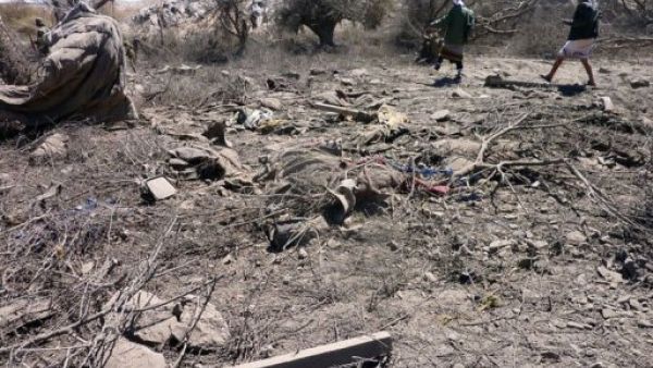 غارات جوية اميركية 