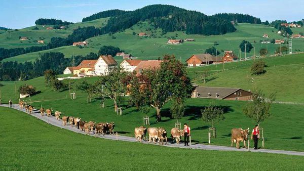 The quiet hills of rural Switzerland. 
