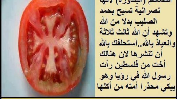 This tomato has been declared infedelicous by the Salafiis of Lebanon