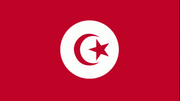 Tunisia's national flag