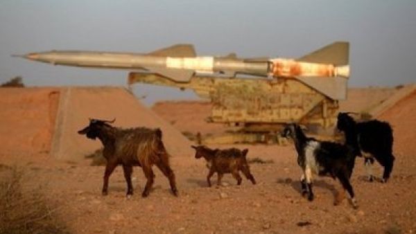 مجموعة من الماعز قرب صاروخ سام ارض جو في قاعدة عسكرية مهجورة في طبرق شرق ليبيا

