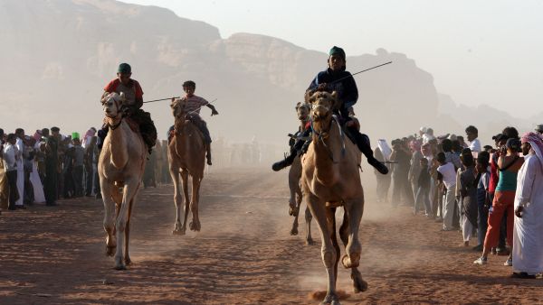 Jordan is quite organically linked to Arabia with many Hashemites tracing quite newly back to tribes in Saudi. Here, a camel race in Wadi Rum.