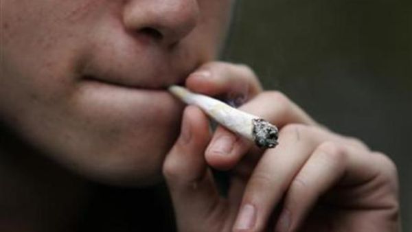 Many Lebanese are OK with marijuana being legalized 