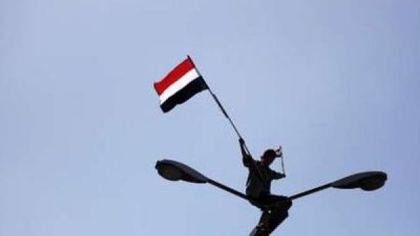 متظاهر يرفع علم اليمن على اعمدة الكهرباء