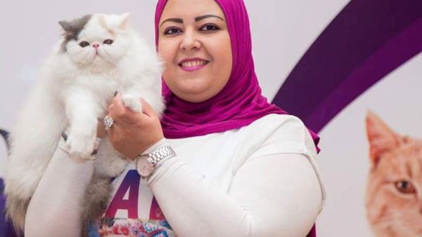 قصة شعر تليق  بالقطه المدللة 