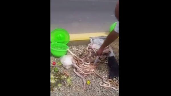  استطاع تهريبها عبر الحدود، غير أن السائق ضبطها بعدما فاحت رائحتها الكريهة في المركبة