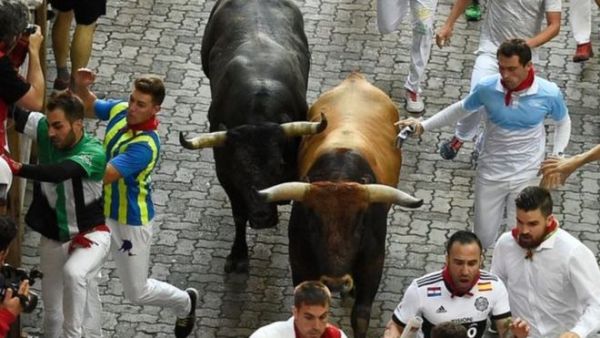 السعودية تنظم "تحدي الثيران" على الطريقة الإسبانية