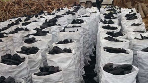 الأمم المتحدة تحظر تصدير الفحم الصومالي منذ 2012 لقطع مصادر التمويل عن حركة الشباب