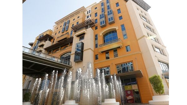 مجلس المناطق الحرة في إمارة دبي