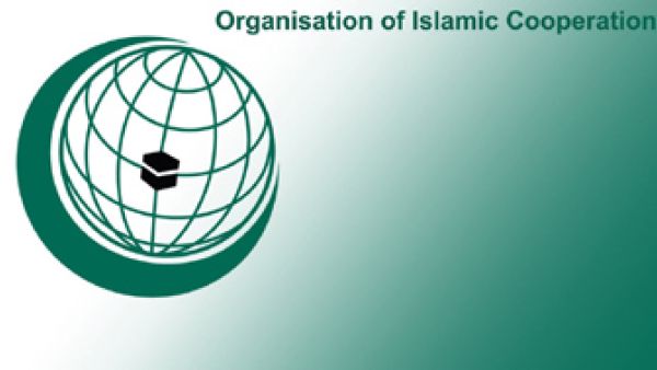 قمة انقرة الاسلامية امام تحديات 