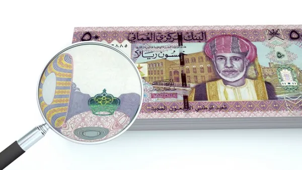 The new system is designed to automatically detect late or non-payment of salaries to employees in the private sector. (Shutterstock) 