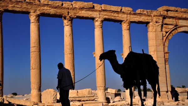 The ancient ruins of Palmyra in Syria are seen in 2010. (Shutterstock)