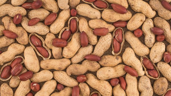 A Dubai supermarket was shut down after a video showing a worker standing in peanuts with bare feet was sent to food inspection authorities. (Shutterstock)