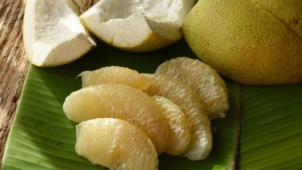 تناول البوملي بانتظام يزيد من ترسب الكولاجين ويبطئ انهياره

