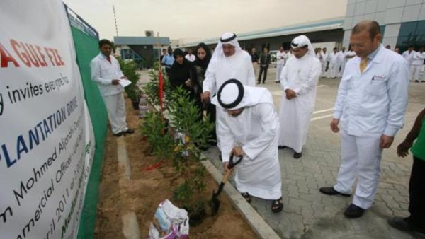 500 saplings were planted as part of the tree plantation initiative 500 saplings were planted as part of the tree plantation initiative