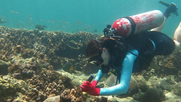 Coral Reefs Research at NYU Abu Dhabi 