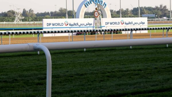 يستقطب سباق دبي تيرف بعضا من أفضل الخيول من جميع أنحاء العالم للتنافس لمسافة 1800 متر لدورة واحدة على مضمار عشبي.